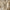 Yama - Travertine Ceiling Light