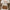Renge - Nubuck Leather Shoulder Bag