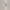 Gekko - Adjustable Spherical LED Wall Light