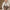 Yuki - Textured Genuine Leather Shoulder Bag