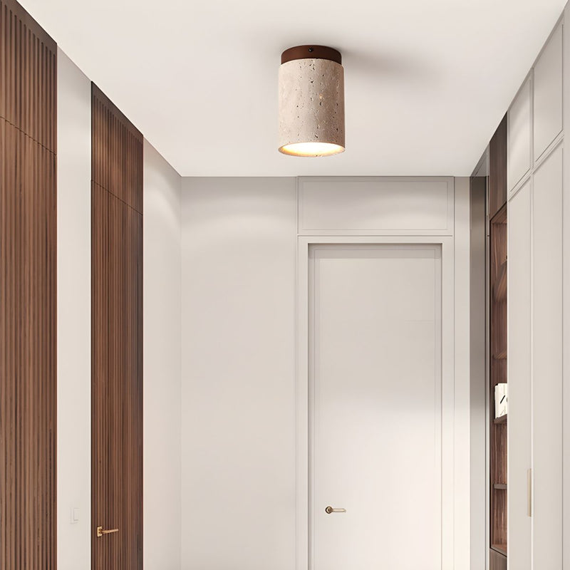 Tenku - Modern Ceiling Light