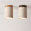 Tenku - Modern Ceiling Light