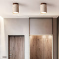 Tenku - Modern Ceiling Light