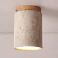 Tenku - Modern Ceiling Light